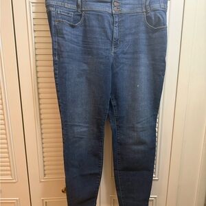 Lane Bryant Dark Blue Skinny Jeans